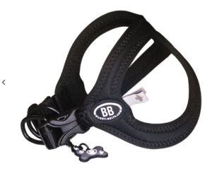 Buddy Belt Sport Harness Vibrant Collection